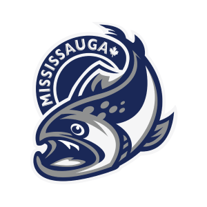 Брэмптон Стилхеадс