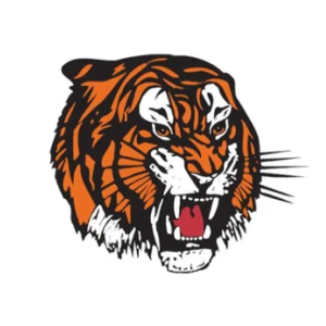 Медисин Хат Тайгерс