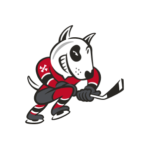 Ниагара АйсДогс