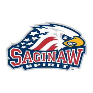 Сагино Спирит