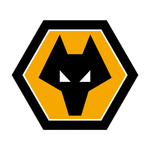 Вулверхэмптон Уондерерс